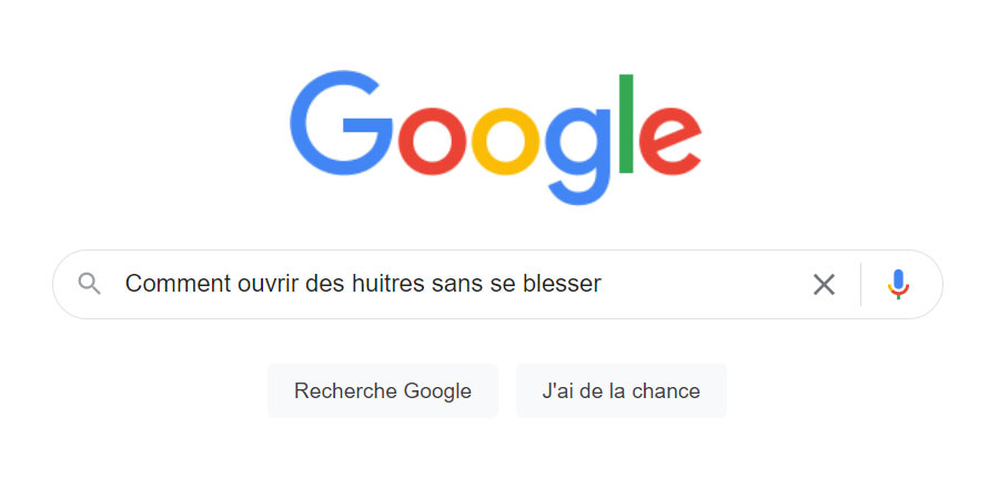 Exemple de requête Google à analyser